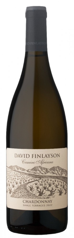 Camino chardonnay 2022