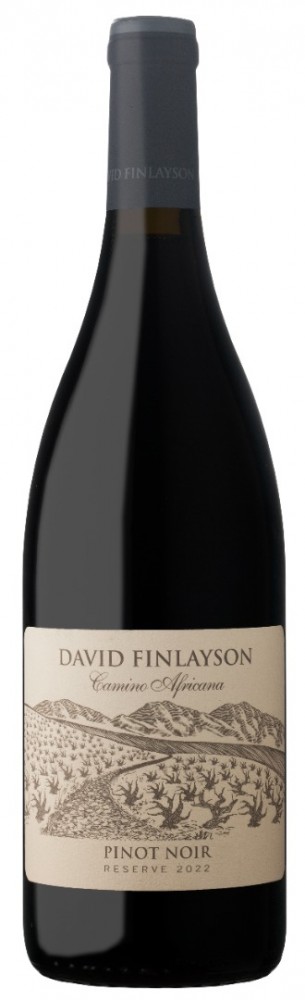 Camino pinot noir 2022